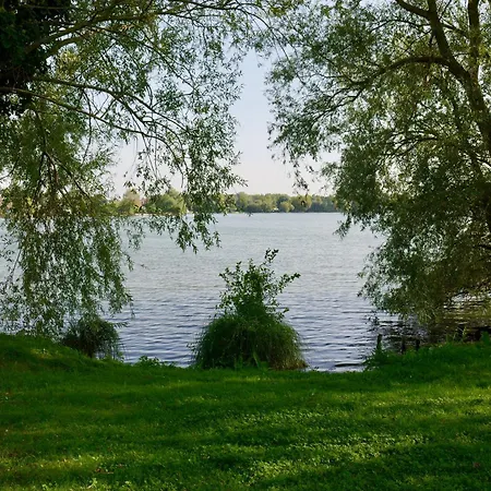 Les Du Moulin アルル